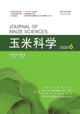 玉米科学杂志